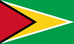 Bandeira da Guiana.