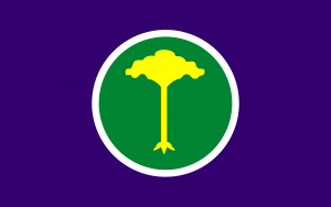 Bandeira de São Carlos SP.